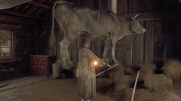 RE:4 Randomizer Permadeath Runs Day #5