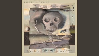 Video thumbnail of "Tobin Sprout - Soul Superman"