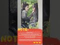 This rimantic moment#kdrama #CoupleGoals​ #ChemistryGoals​ #RomanticMoment