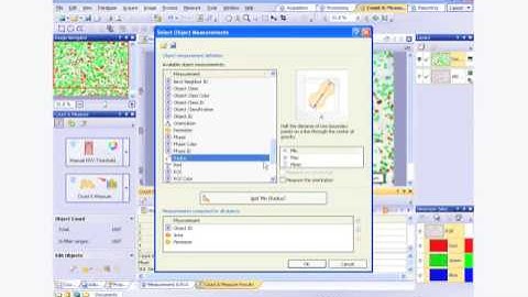 cellSens   object detection