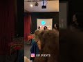The Riffian Artist Author Composer And Performer Fatoum Sang At An Event In Brussels 