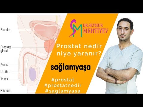 Video: İtlərdə Prostat Vəzinin Böyüməsi