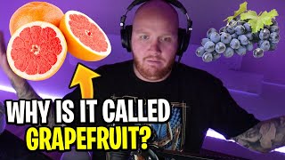 TIMTHETATMAN WONDERS WHY GRAPEFRUITS EXIST!