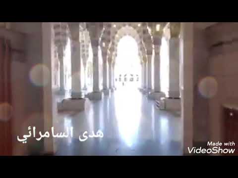 سعيد الزار طيبه وشاف من بيها المداح ياسين الفيصل