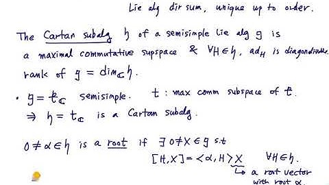 [Lie Groups and Lie Algebras] Lecture 13. Weyl groups and root systems