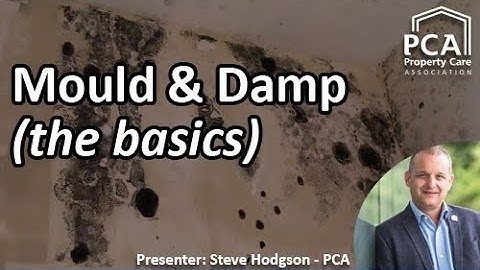 Mould & Damp - the basics