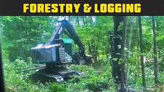 Check Out This Awesome Timberpro 725-B Felling Trees | Real Life Logging