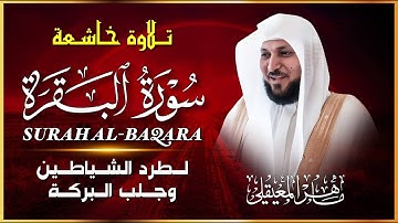 النسخة الأصلية من سورة البقرة 🎧 بصوت ماهر المعيقلي | تلاوة خاشعة تملأ القلب نورًا ✨