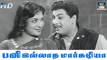 பனி இல்லாத மார்கழியா படை இல்லாத | Anandha Jothi | MGR | Goldencinema