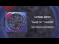 Morbid angel  maze of torment full dynamic range edition official audio