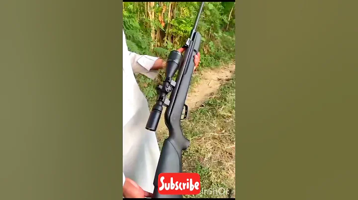 Excellent 👌 Gamo shadow1000 Airgun Review | Dove Hunting Best Powerful Springer Airgun