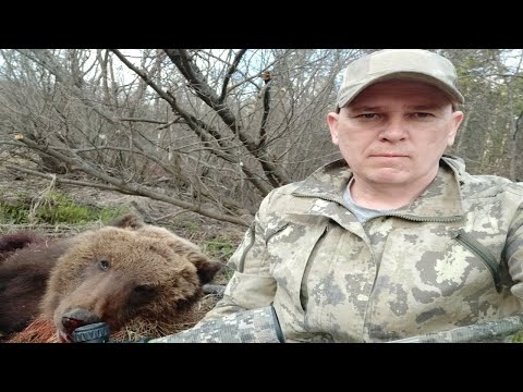 Охота на медведя подранка 2022. Нападение медведя