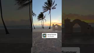 Hollywood Beach set to the Strokes - Eternal Summer