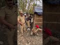 झगरू महतो का चोरी पकड़ा गया || PPS Vines Gajodhar