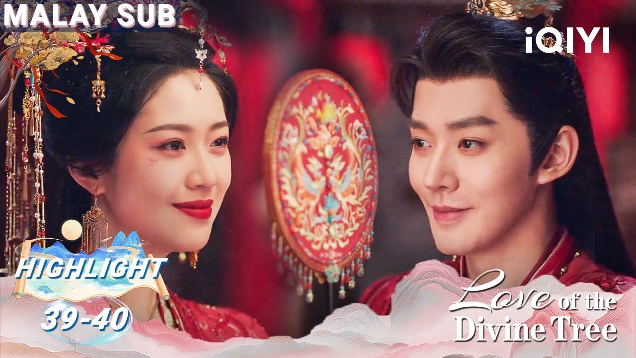 🎉Akhir bahagia💗perkahwinan manis Xiaoshui, tiga anak💖👨‍👩‍👧‍👦|Love of the Divine Tree| iQIYI Malaysia