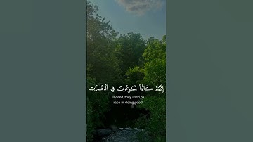 #تلاوة_خاشعة #اكسبلور #المصحف #قرآن #لايك #الرحمن #قران_كريم #راحة_نفسية