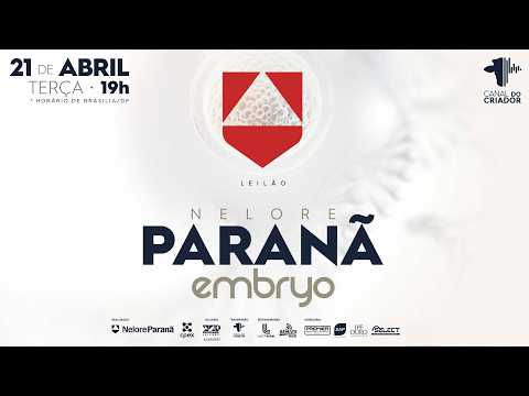 LOTE 25 HEJ 785 MURA 15462 MURA 13599 ANP 3160