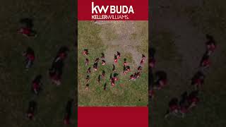 kw red day pano