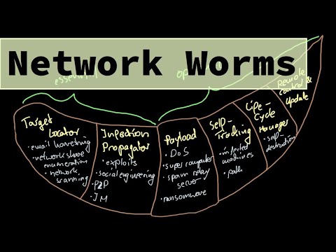 Video: Een Netwerkworm Verwijderen