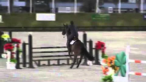 Video of Philadelphia 54 ridden by Christina Webb ...