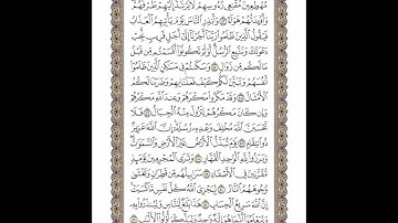 الوجه 261 من القرآن مكرر ١٠ مرات مع الآيات | سورة إبراهيم | الشيخ خليفة الطنيجي