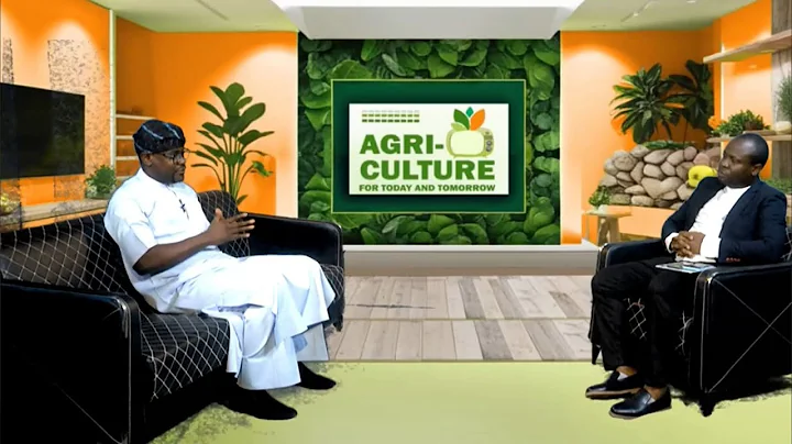 The role of government in achieving food security in Nigeria