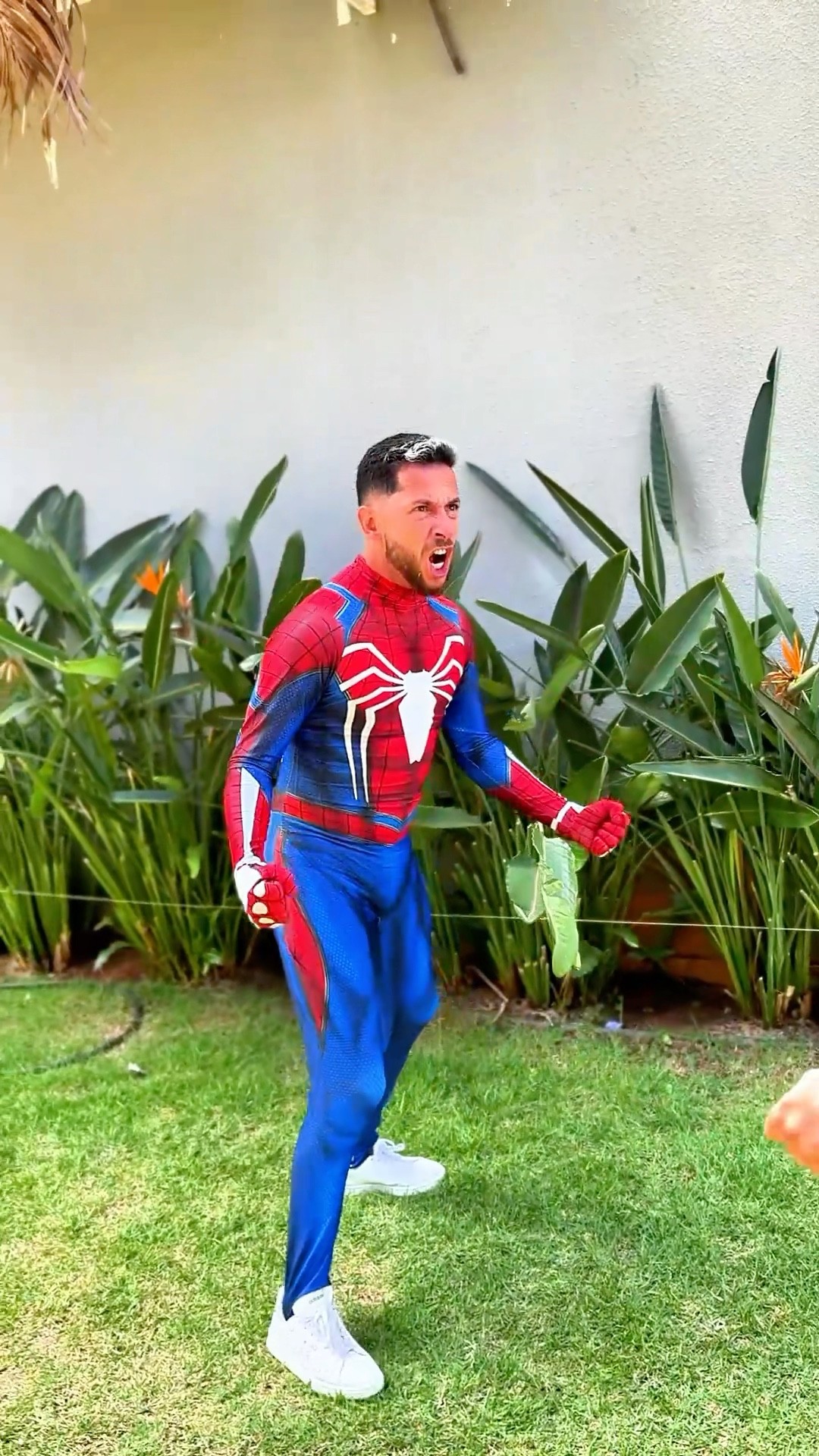 Eu nunca vou ser um homem aranha ?