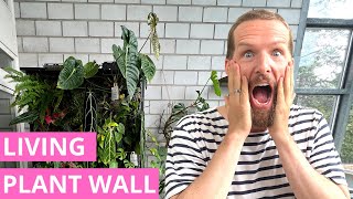 My DIY Living Wall   Fully Automated and Plants Love It!