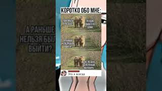 Не могу иначе #shorts #мемы