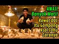 Tutorial Merawat doc Modal Minim Untung Maksimal. Satu Kesalahan Kecil Bisa Bikin doc Mati Semua!