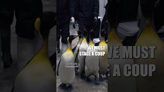 🐧 Penguin Prison 🎥: odensezoodk (🕰️) #shorts