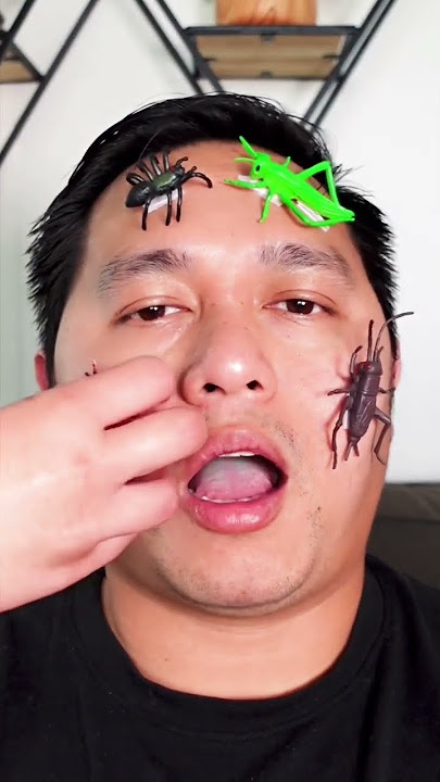 Do you like insects and spiders? 🐞🪳🕷️🕸️