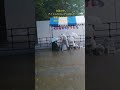 台風の中、アイドルローアングル撮影するために場所取りする人。次の日、ローアングル撮影対策されていました。