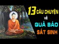 TRỘM CHÓ GIẾT THỊT ĂN | 13 Câu Chuyện Ngắn Hay Nhất Về QUẢ BÁO SÁT SINH Nên Nghe 1 Lần