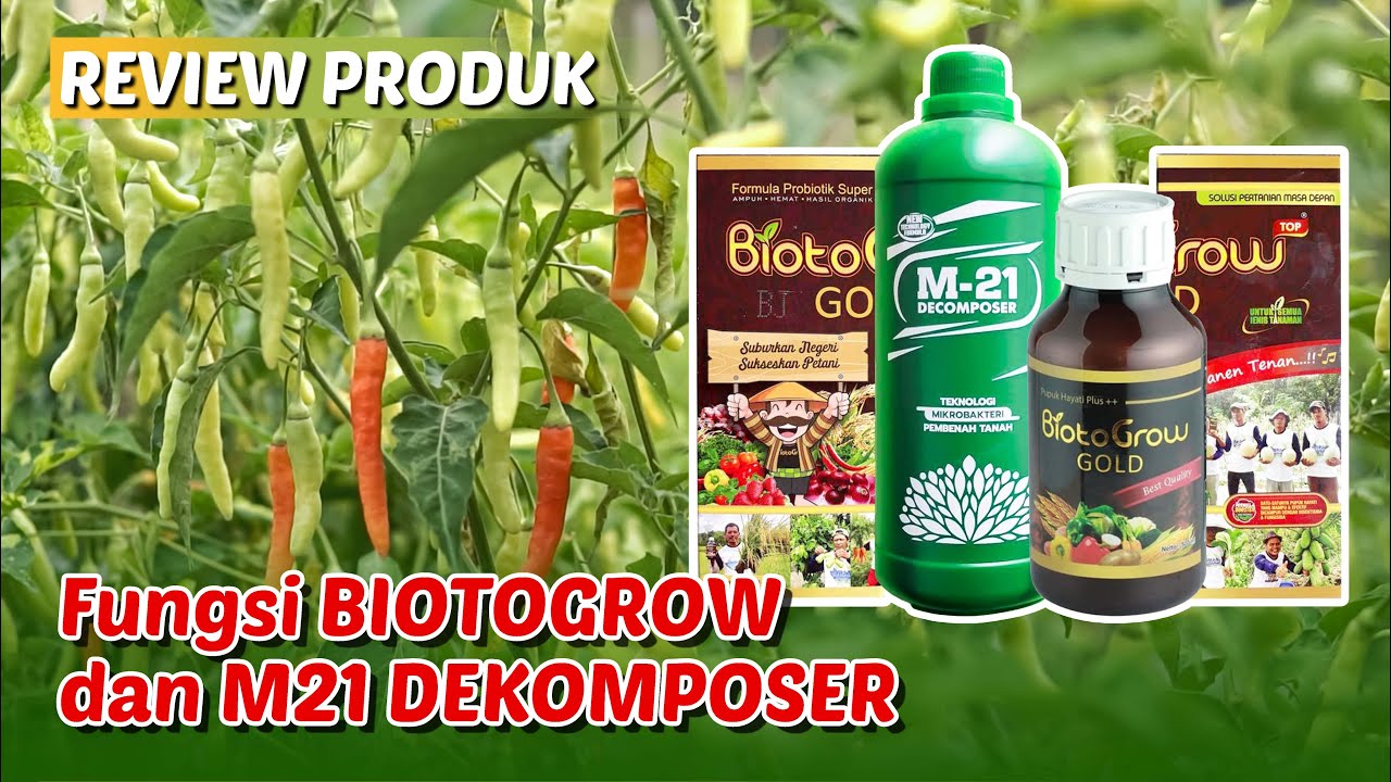 Pupuk Biotogrow Sebagai Pupuk Hayati dan M21 Dekomposer Sebagai Fermentasi Pembuatan Pupuk