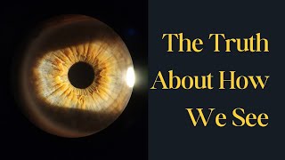 A Natural History of Seeing – How Vision REALLY Works!