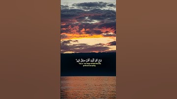 تلاوة خاشعة للشيخ ياسر الدوسري #قرآن #قران_كريم #المصحف #راحة_نفسية #quran