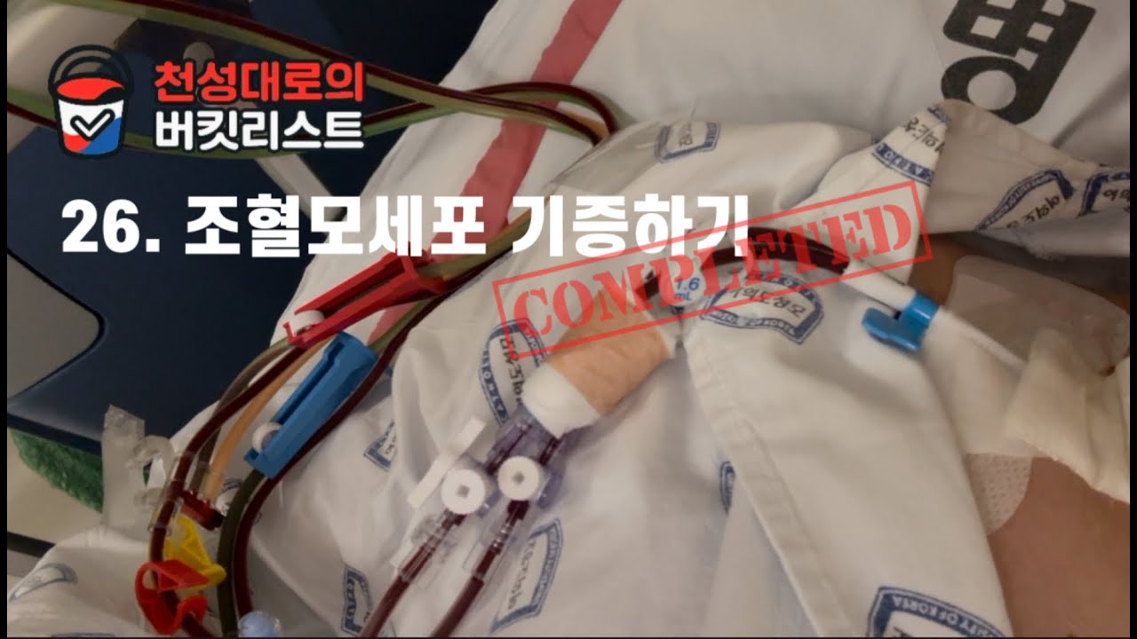 버킷리스트 26번. 조혈모세포 기증하기