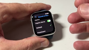 Apple SE 2 | How to Control Vibrations (haptic behavior settings)