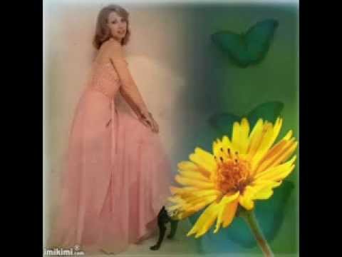 CONCIERTO PARA ENAMORADOS  VERSION 2 flv