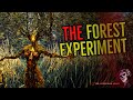 ''The Forest Experiment: The Complete Story'' | ONE OF THE BEST EXPERIMENT CREEPYPASTA SERIES EVER