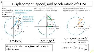 ap13.2.1 Simple harmonic motion part 1 Net Worth