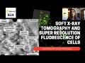 3D Correlative Cryoimaging using super resolution fluorescence microscopy and soft X-ray tomography