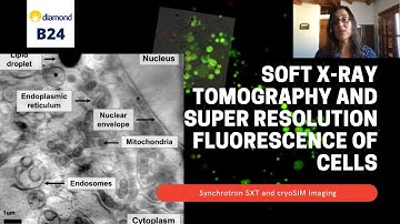 3D Correlative Cryoimaging using super resolution fluorescence microscopy and soft X-ray tomography