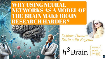 Why using neural networks as a model of the brain make brain research harder?