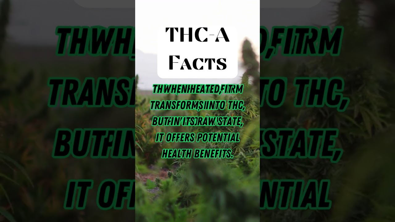 HEMP FACTS PART 3 
