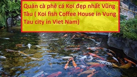 Quán cà phê cá Koi đẹp nhất Vũng Tàu