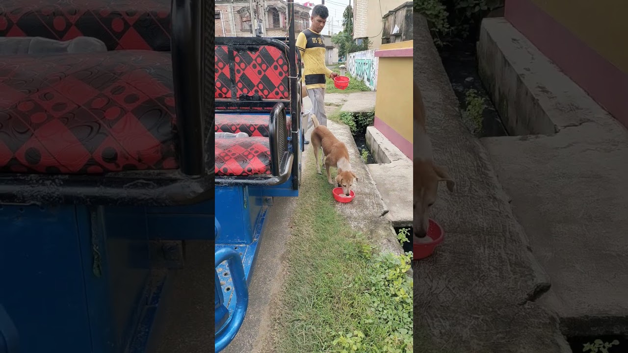 real love 🐕❤️🙏