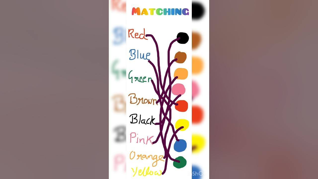 Match the colours 🌈 ️ learn colours matching for preschool learner