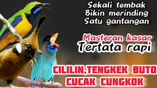 🔴MASTERAN KASAR CILILIN, TENGKEK BUTO, CUCAK CUNGKOK || bikin merinding satu gantangan ‼️